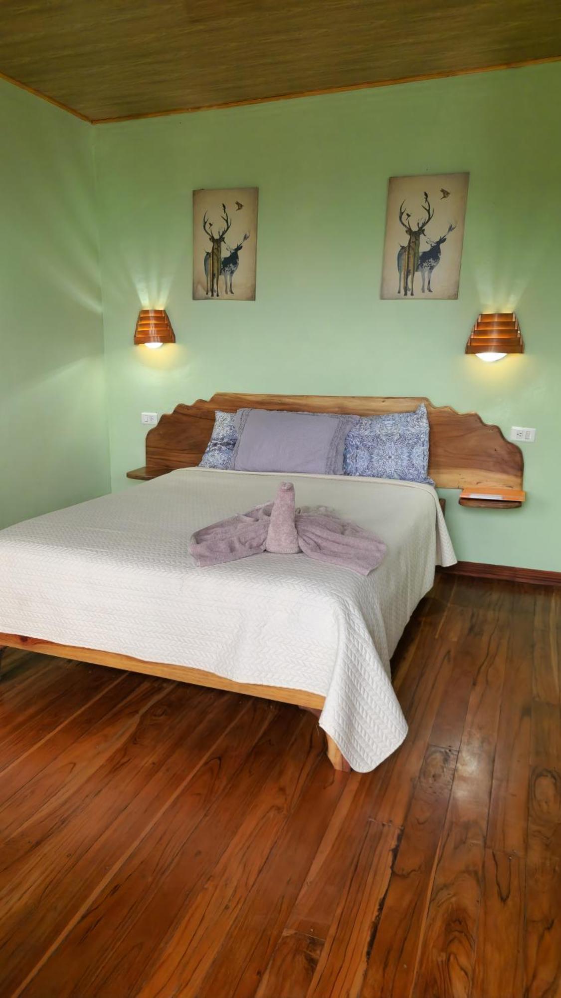 Twin Palms Lodge Monteverde Room photo